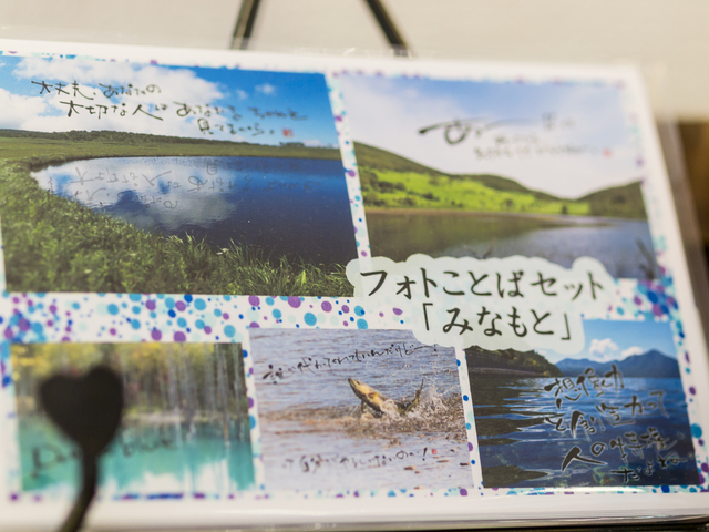 海蒼2.jpg